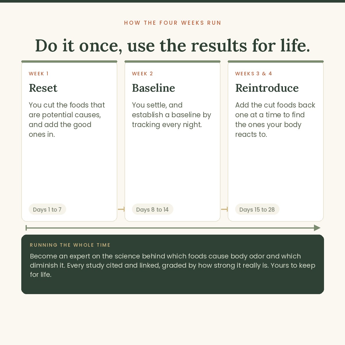 How the four weeks run: reset, baseline, then reintroduce one food at a time