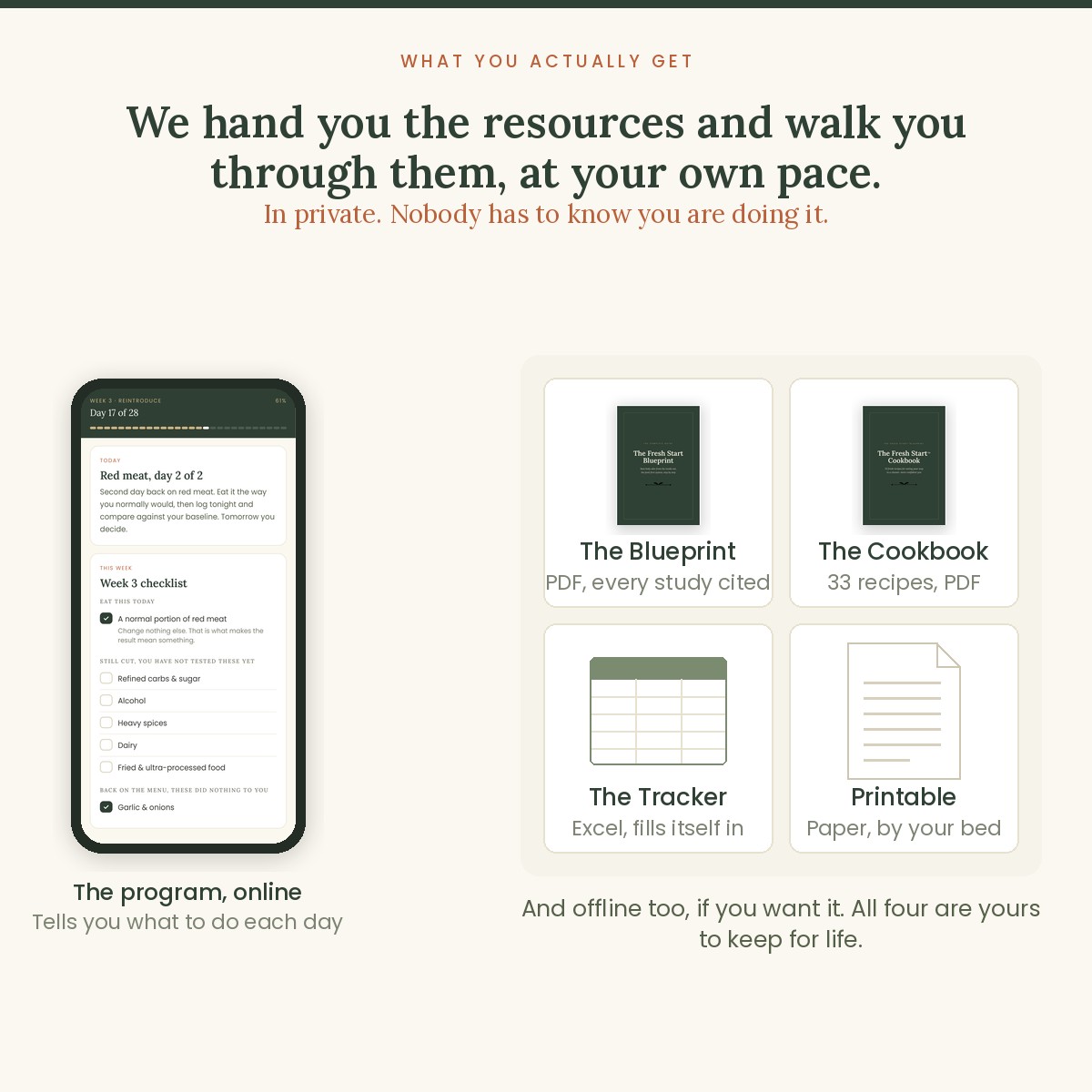 What you actually get: the online program, the blueprint and the cookbook